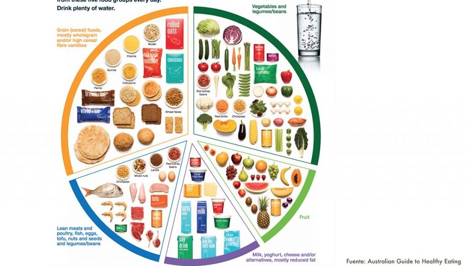 diferencias entre la piramide nutricional y el ovalo alimentario guia completa para una alimentacion equilibrada