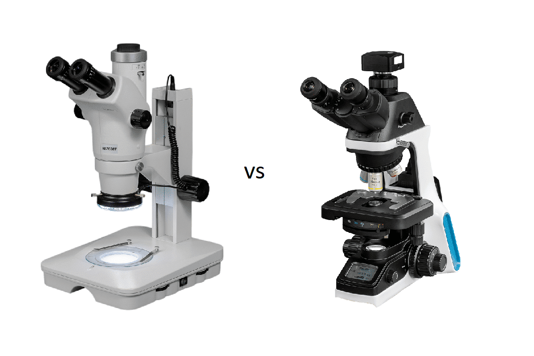 diferencias entre microscopio optico y estereoscopico guia completa 2022