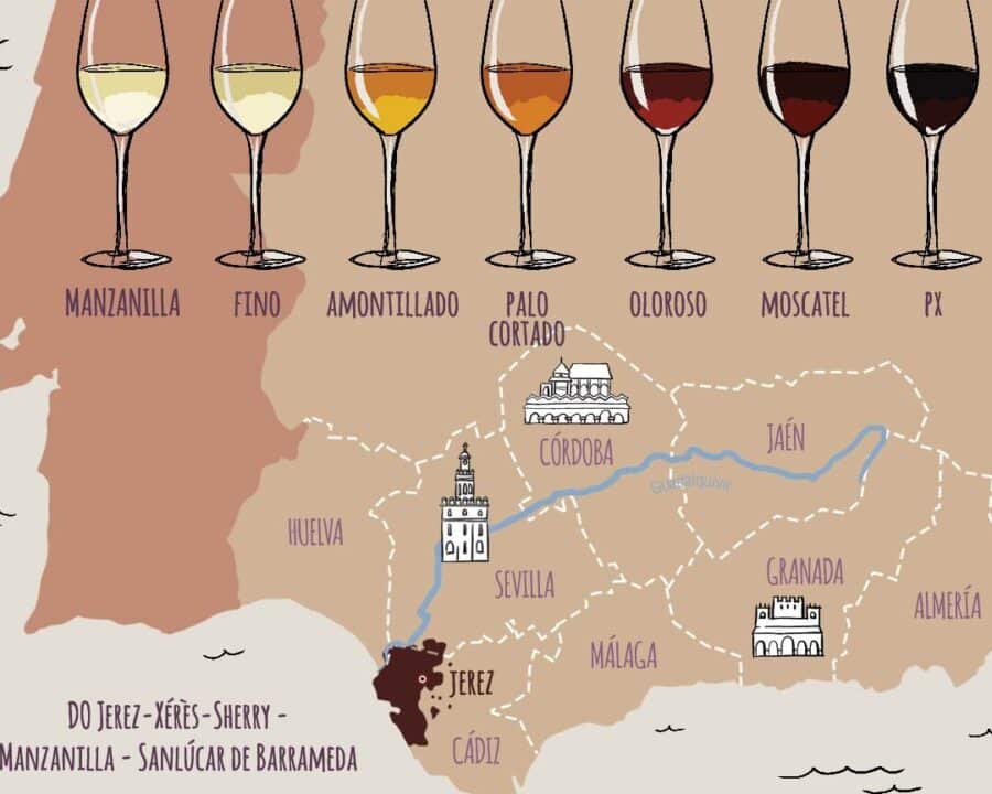 diferencias entre vino fino y manzanilla guia completa para distinguirlos