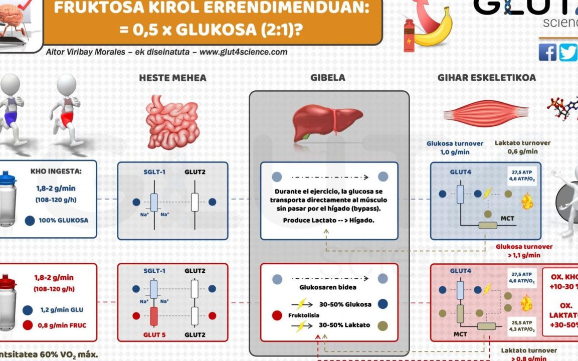 todo lo que necesitas saber sobre las diferencias entre fructosa y glucosa