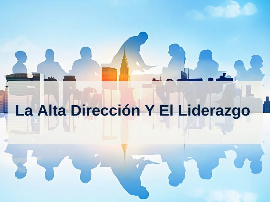 diferencias clave entre alta direccion guia completa para entender su papel y responsabilidades