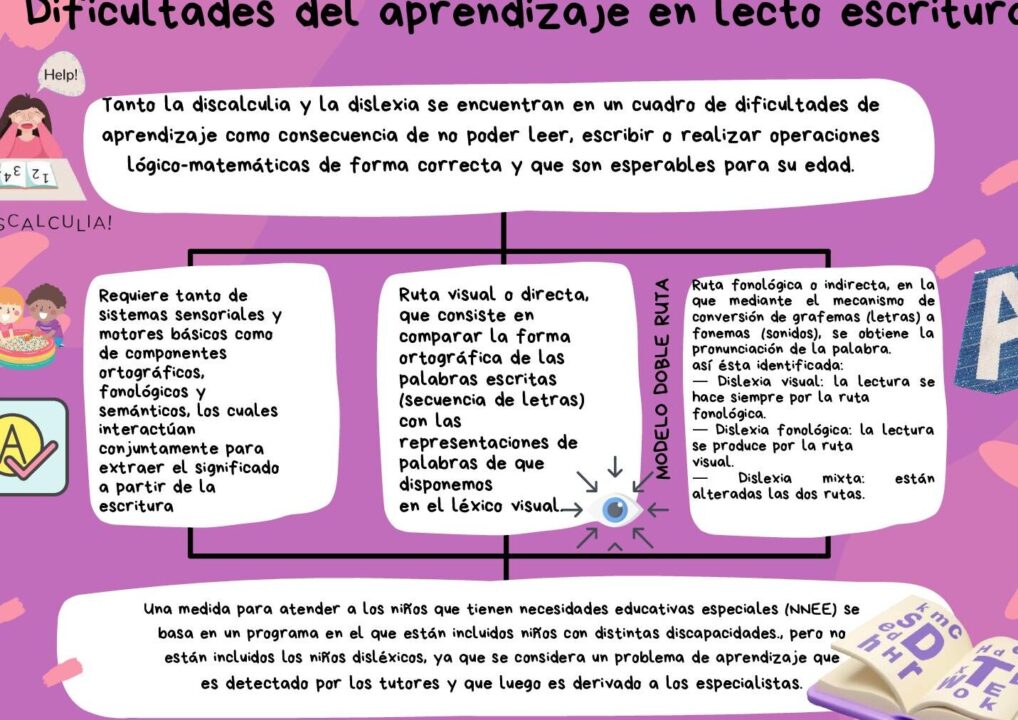 diferencias clave entre alteraciones de la ruta visual y fonologica guia completa