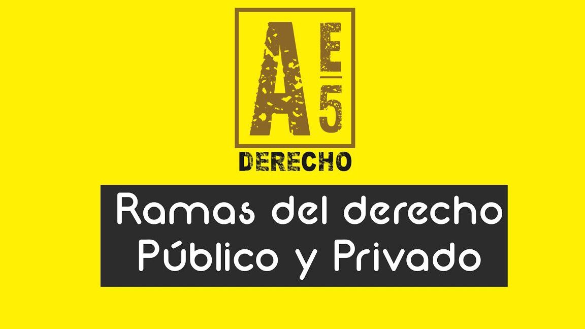 diferencias clave entre asuntos publicos y privados guia completa