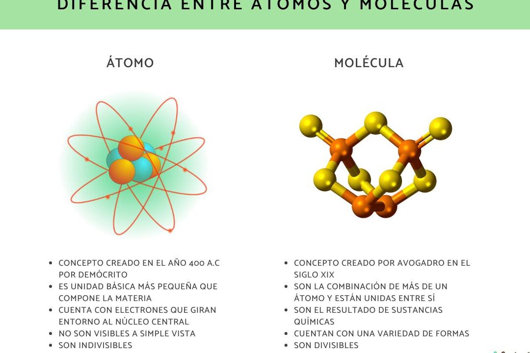 diferencias clave entre atomo e ion guia completa