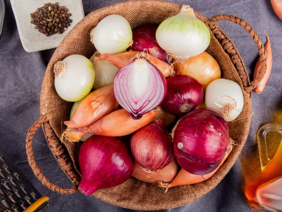 diferencias clave entre cebolla blanca y roja cual es mejor para tus recetas