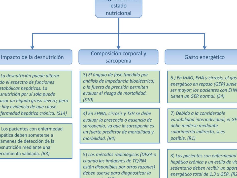 diferencias clave entre cirrosis hepatica y hepatitis alcoholica una guia completa