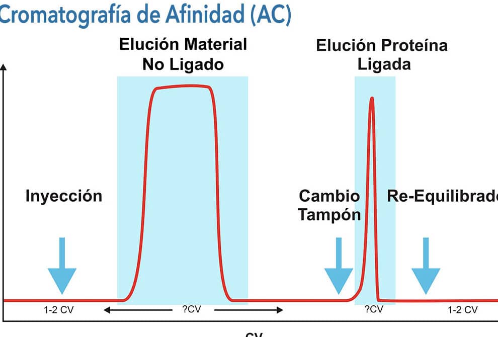 diferencias clave entre hplc y uplc cual es mas adecuado para tu laboratorio