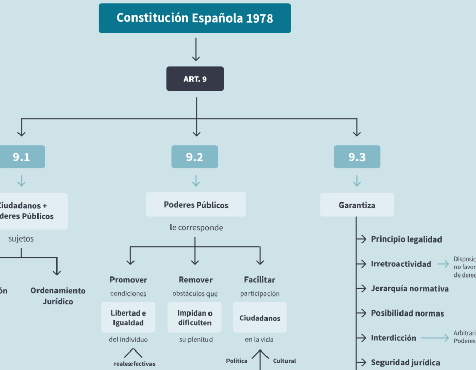 diferencias entre articulo de opinion y articulo de la constitucion cual es su impacto en la sociedad