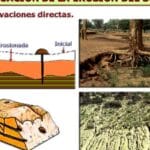 diferencias entre barrancos y carcavas como distinguirlos y su importancia en el medio ambiente