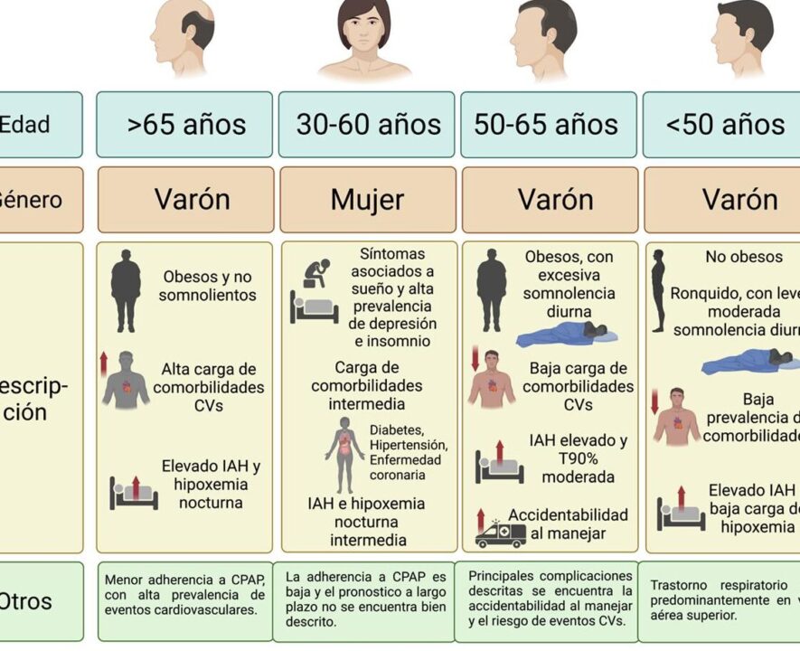 diferencias entre cd guia completa para comprender las variaciones y usos