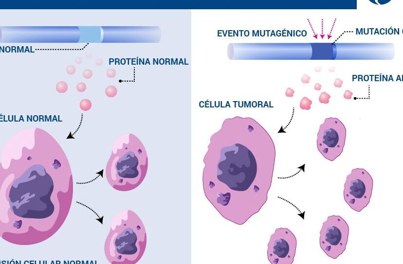 diferencias entre celulas normales y anormales que debes saber