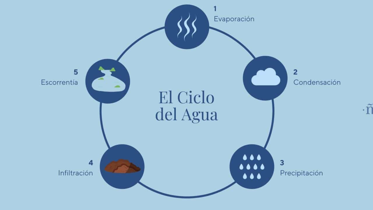 diferencias entre condensacion y ebullicion cual es la clave para entender la evaporacion del agua