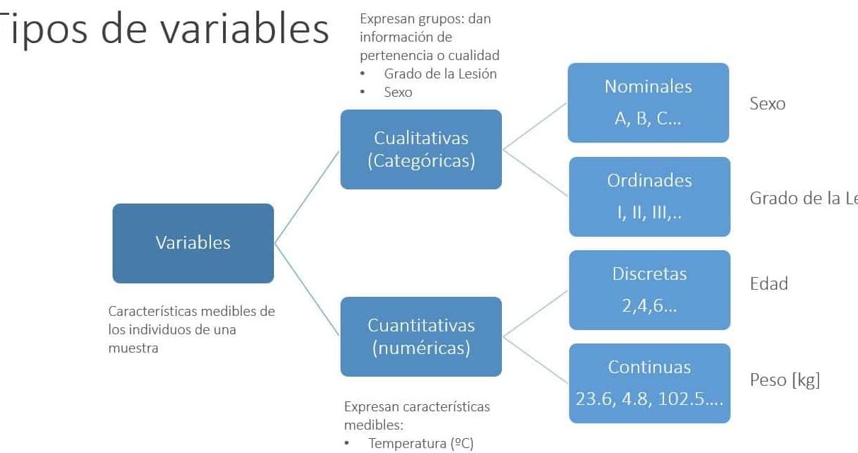 diferencias entre estadistica y probabilidad conoce las claves para entenderlas