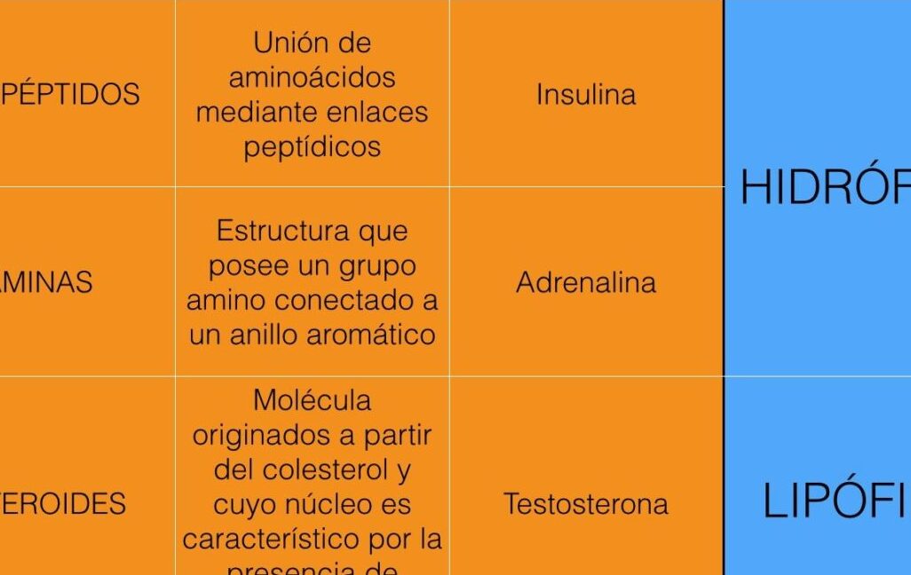 diferencias entre ciliados y opalinidos caracteristicas y comparacion detallada